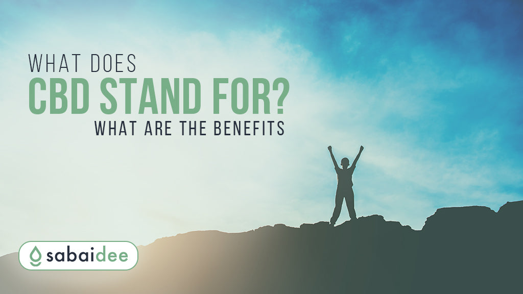 What Does CBD Stand For What Are The Benefits SabaiDee what-does-cbd-stand-for-what-are-the-benefits-sabaidee