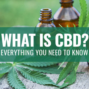What is CBD? Everything You Need to Know
