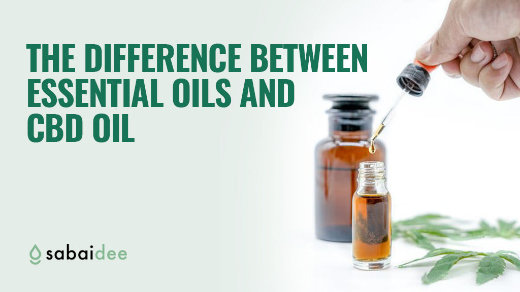 The Difference Between Essential Oils And CBD Oil SabaiDee