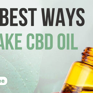 For the Rookies: The Best Ways to Take CBD Oil